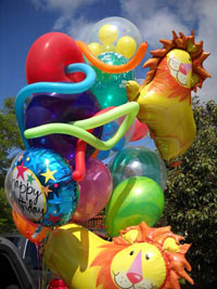 San Diego Balloon s